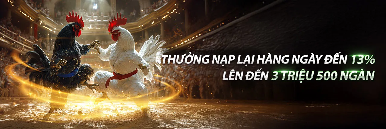 Tổng quan các chiến lược cá cược thể thao